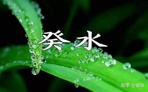 八字 葵水|八字十天干詳解——癸水